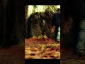 A Walk in an Abandoned Missile Base vol 4 #Shorts