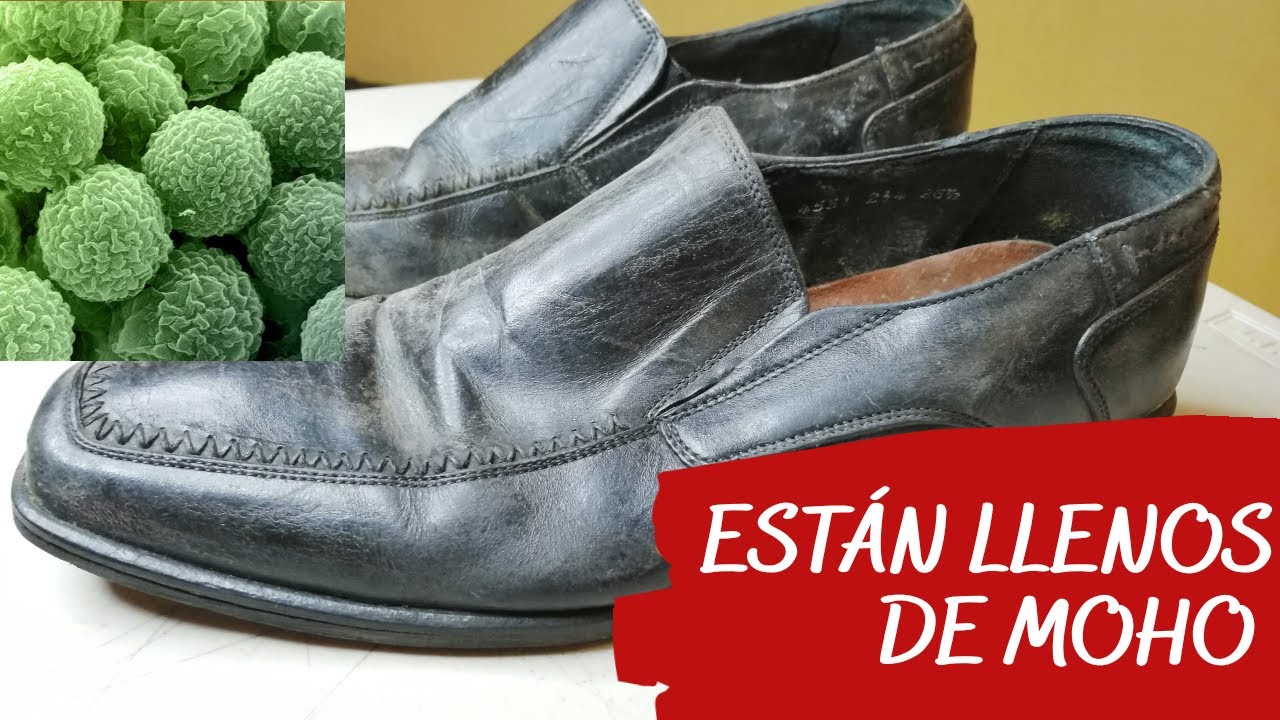 Shoe Shine | Restauración Extrema: ¿Cómo Limpiar Zapatos con Moho? - YouTube