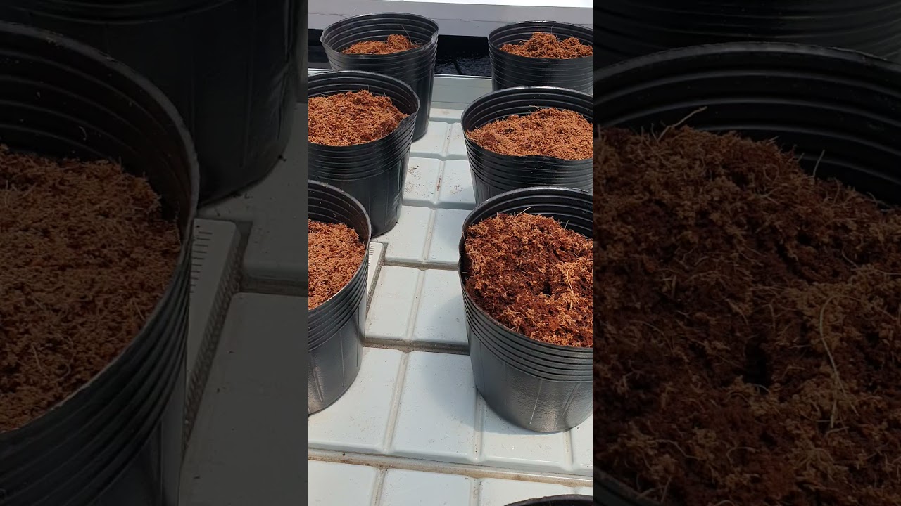 Adding reservoirs for aquaponics using ebb & flow grow systems for vegetable and ornamental plants.