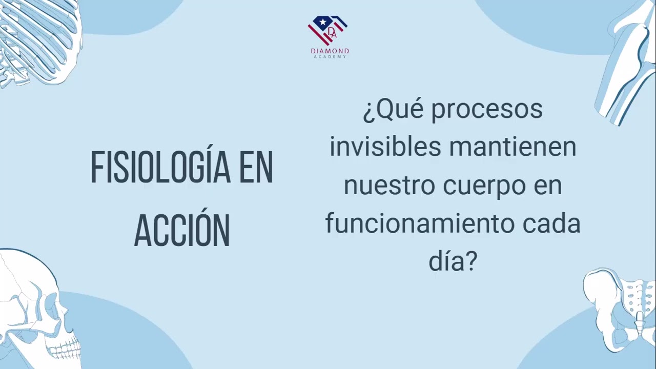 CE - 13/02/26 - Anatomía sin miedo y fisiología en acción