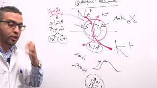 🔴 مقطع من دورة zoom الاتصال العصبي .. فكرة 💡 رائعة وردت في باكالوريا 2020 🔥