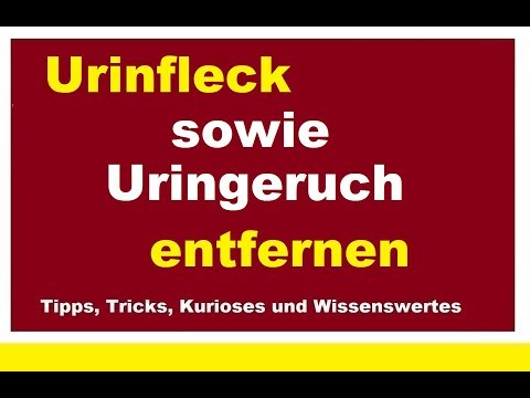 Video: Verwendung von Bleichmittel zur Reinigung von Hundeurin auf Zement