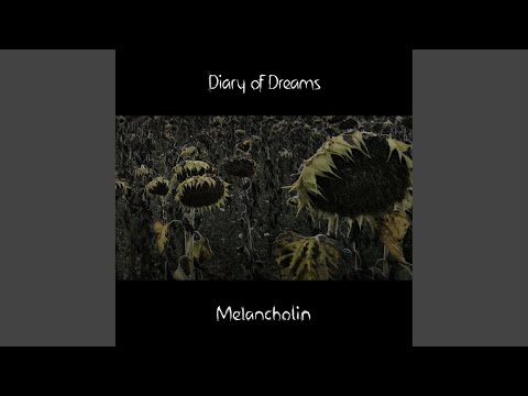 My Distant Light