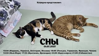 Кошарня 01.07.2025: СНЫ