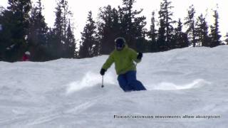 PSIA RM L2 Bumps