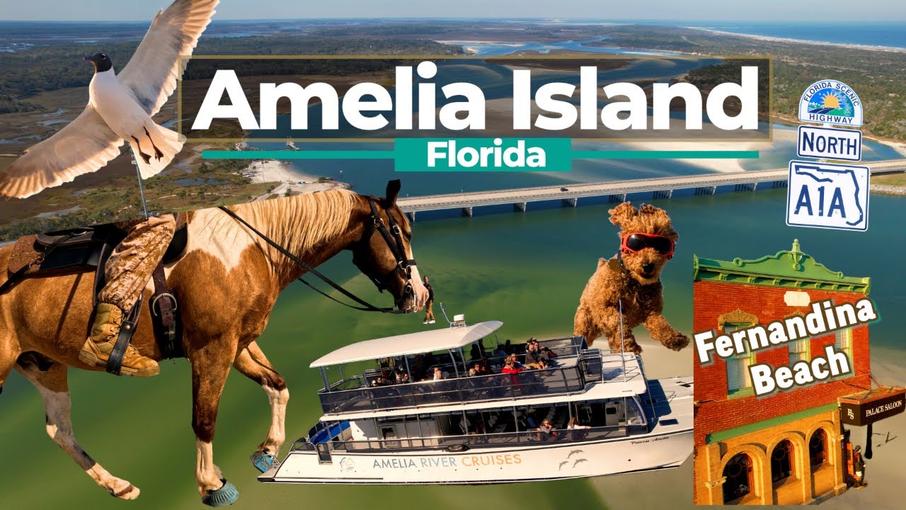 AMELIA ISLAND | Fernandina Beach, Cumberland Island, North Jacksonville Beaches