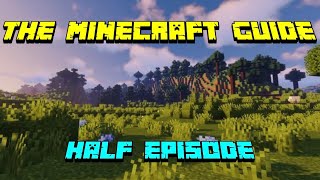 The Blacksmith and finishing touches | The Minecraft Guide 2 | Half Episode 