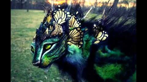 Kizoa Video Editor - Movie Maker: welcome