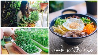 SUB) Six Delicious Recipes Using Microgreens and Sprouts in My Tiny Balcony Garden