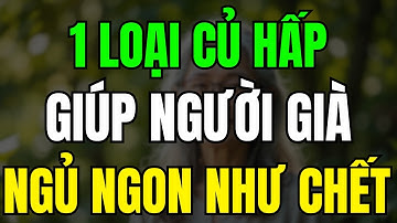 1 loại CỦ HẤP giúp người già ngủ ngon như chết |  Ngủ Một Mạch Tới Sáng