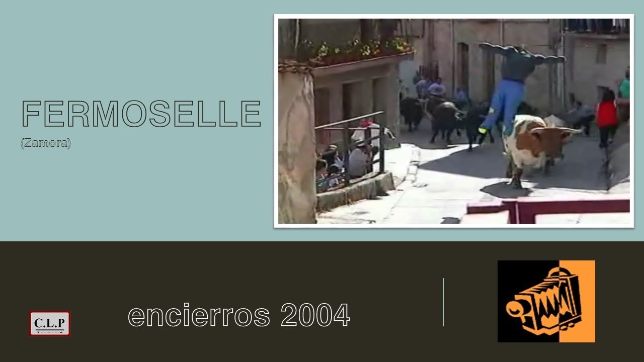 Fermoselle (Zamora-España). Encierros 2004