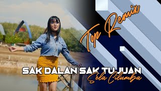 Remix  - Sak Dalan Sak Tujuan - Sela Chilunba - Cipt S Yuda