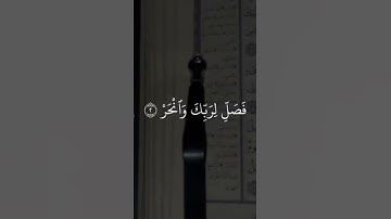 سورة الكوثر #تلاوة_خاشعة #المصحف #القرآن #اكسبلور #quran #لايك #الرحمن #آيات