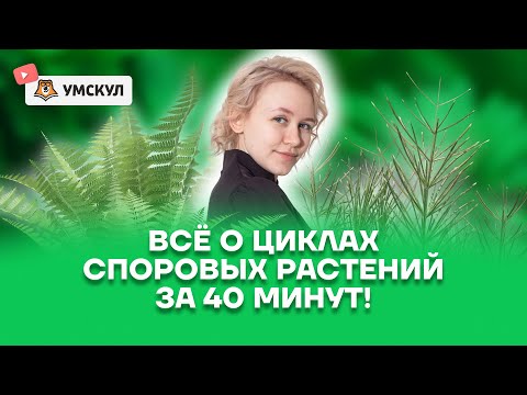 Всё о циклах споровых растений за 40 минут | Биология ОГЭ 2022 | Умскул