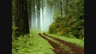 Windows Vista Sample Pictures Hd