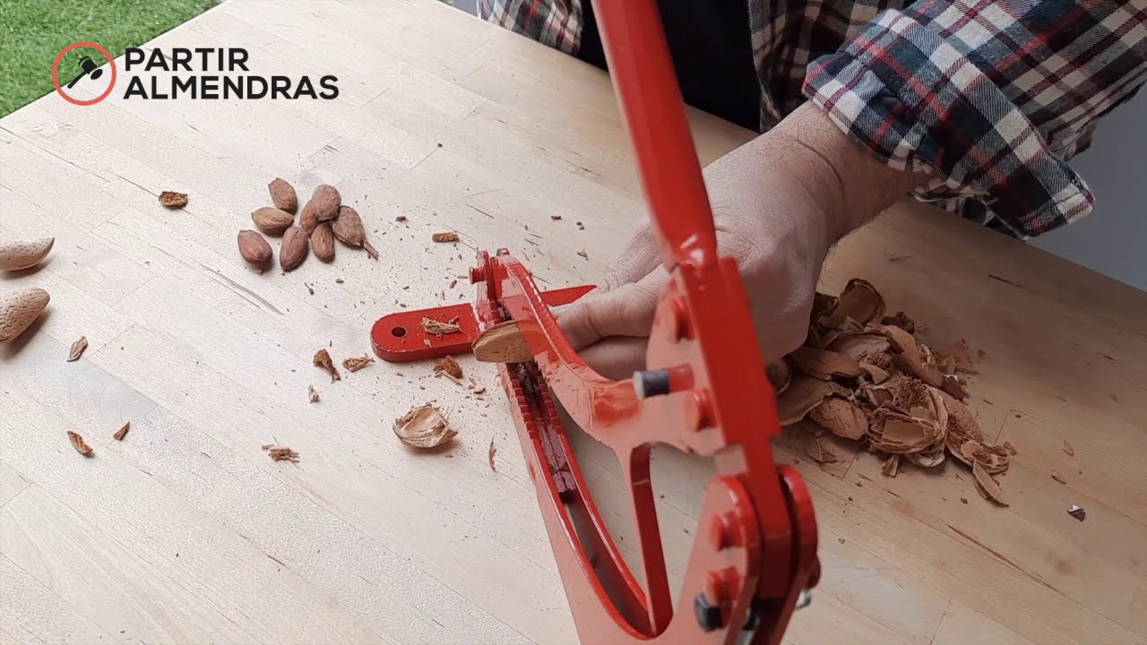 Compra quercuo - Partidor de almendras Pro25 Manual con Rodamiento, Mínimo  Esfuerzo y Gran Agarre para cascar almendras - Cascador para Romper Frutos  Secos de cáscara Dura en