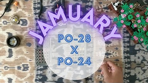 The intern (Jamuary 5) // PO-28, PO-24