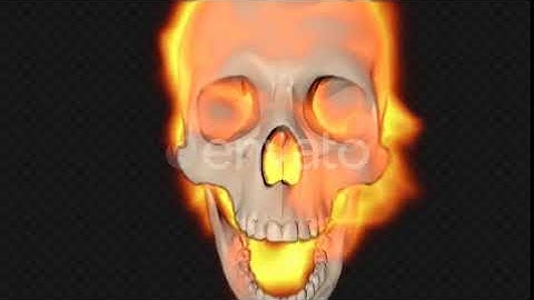 Skull Burning Transition | Motion Graphics - Envato elements