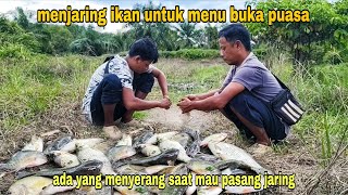 DI SERANG SAAT MAU PASANG JARING || BURU IKAN UNTUK MENU BUKA PUASA