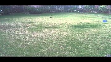 Team Losi Micro-T Alternate Brushless and 2.4Ghz  Conversion - Rough Outdoor