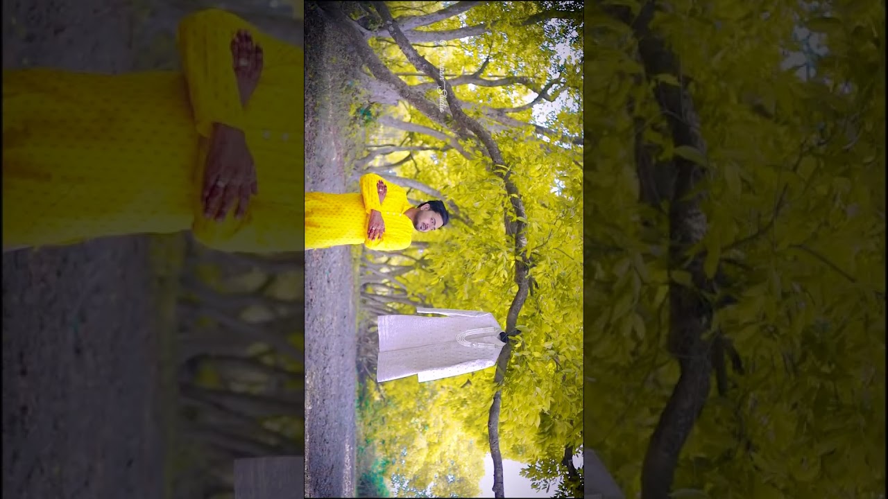 outdoor Haldi Shoot.                   #DarpanStudioBakhri #haldireels