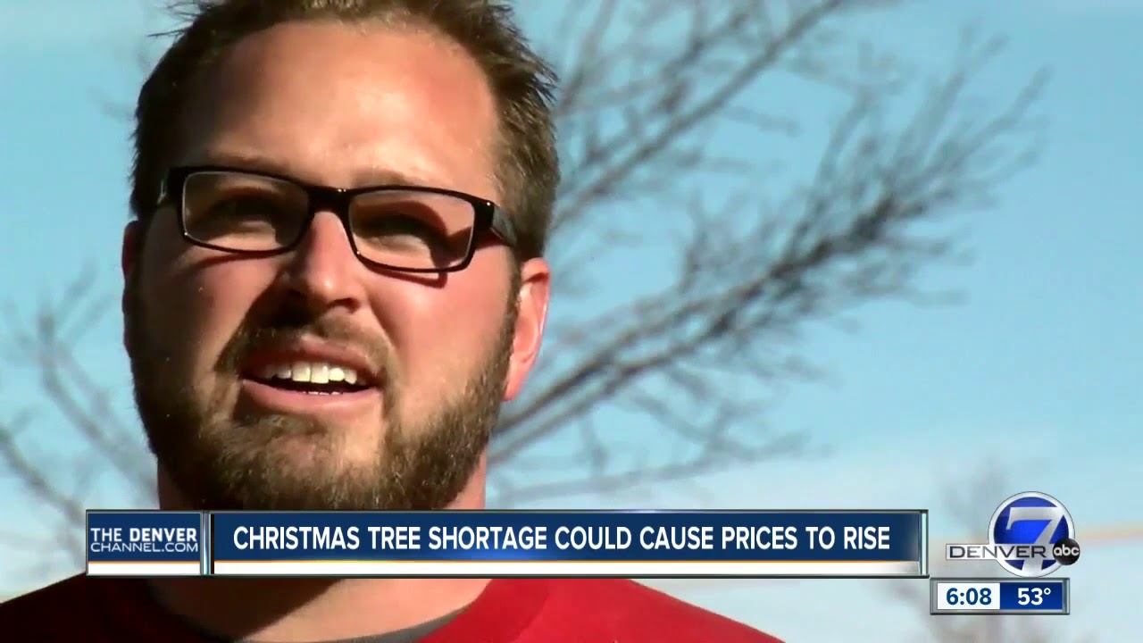 Christmas tree shortage could cause prices to rise YouTube
