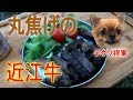 【初心者キャンプ】ゆるキャンの影響でキャンプ始めました(*´ω`*)【後編】