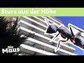 Ameisensturz vom Hochhaus | DieMaus | WDR