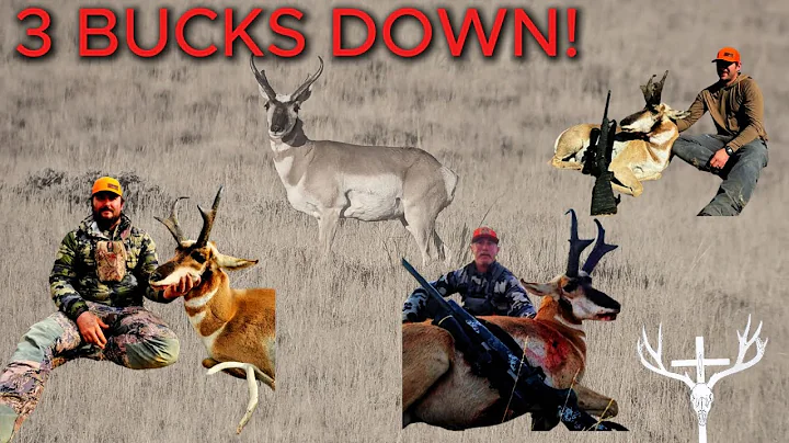 Wyoming Antelope | 3 BUCKS DOWN!