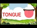 20 body parts name !! #video