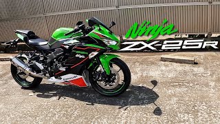 ニンジャ250SE カワサキ ニンジャ 250 ABS スペシャルエディション 2016年式 EX250Lの