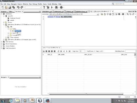 Create and Insert record using java
