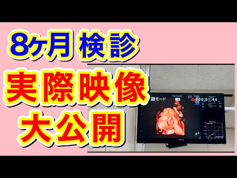 【リアル映像】８ヶ月検診に行ってきました！誕生まであと94日‼︎妊娠ドキュメンタリー
