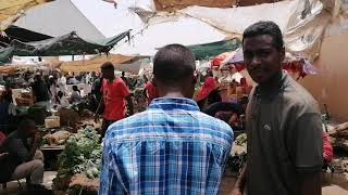 لعشاق محمد النصري بس 😍🤩 #اغاني_سودانية_اغاني_طنمبور_ربابة