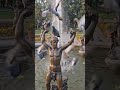 #interestingclips #ytshorts #shortvideo