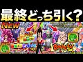 悩む超豪華キャラ来た!!『最終結論』どっち引くべき？超絶CPドッカンフェス目玉確率＆注意点徹底解説！！【ドッカンバトル】【地球育ちのげる】