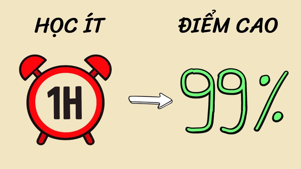 Làm thế nào để học 1 GIỜ mỗi ngày và đạt điểm TUYỆT ĐỐI
