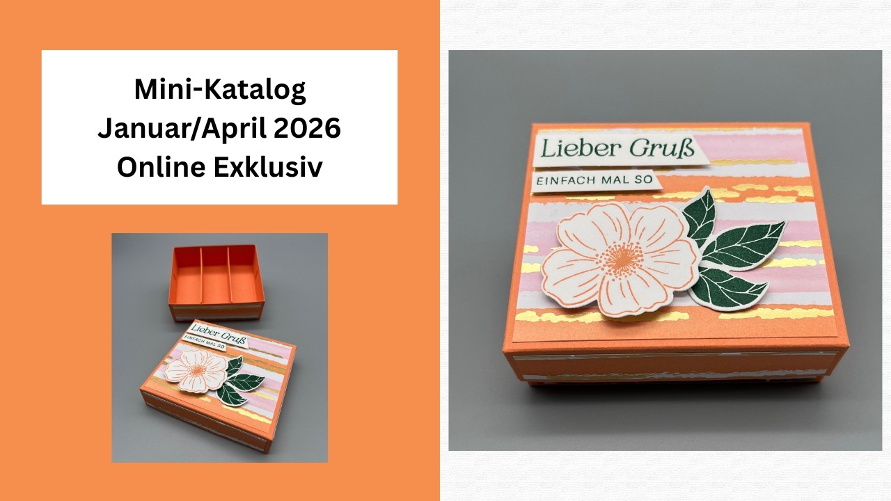 Mini Katalog 26 Januar/April/Online Exklusiv 