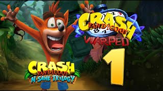 CRASH BANDICOOT 3 (INSANE TRILOGY) (1)