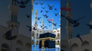Islamic video khubsurat najara makka pakka