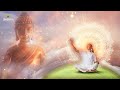 Increase Positive Energy Vibration l Peaceful Meditation Music l Healing Music Relax Mind Body