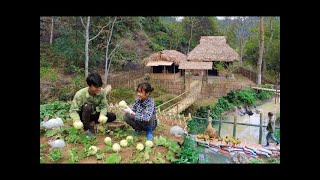 Full Video : 60 days to build a new life, harvest melons, block streams to make fish ponds | Cooking