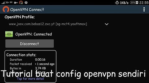 Cara bikin config openvpn sendiri telkomsel sawer youthmax