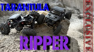 Tarantula and the Ripper exclusive