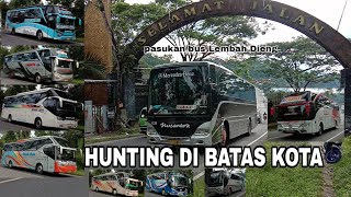 Hunting Bis Di Batas Kota Para Pasukan Suos Bis Lembah Dieng Wonosobo