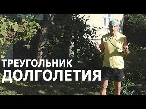 Треугольник Долголетия -- создаем долгую жизнь