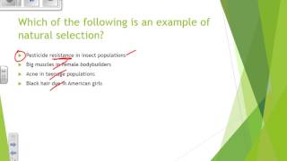 Evolution test review