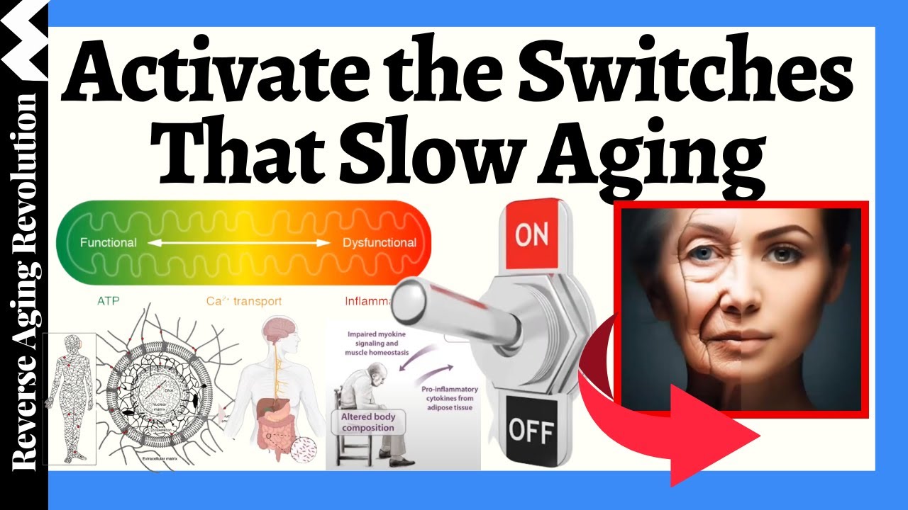 FLIP the Longevity Switch: TOP Hacks to Live a Longer, Healthier Life!!!