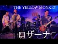 ロザーナ / THE YELLOW MONKEY / イエローモンキー / カバー