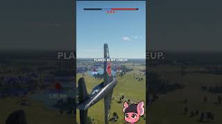 Do War Thunder Players Really Dislike CAS as Much As They Say?